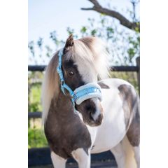HB Nylon Caveson Halter Little Sizes