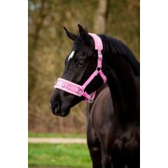 HB Nylon Cavesson Halter