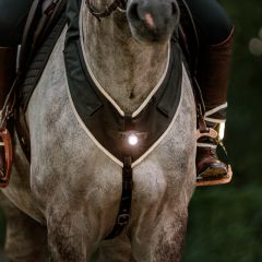 Kavalkade Borsttuig Horselight Voorlamp