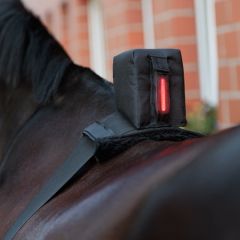 Kavalkade Buiksingel Horselight Achterlamp