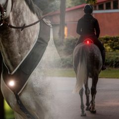 Kavalkade Horselight Set I