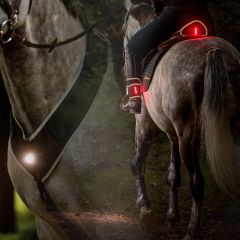 Kavalkade Horselight Set II
