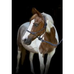 HorseGuard SS26 Rope halter lead