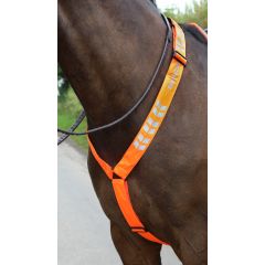 Shires Equi-Flector Borsttuig