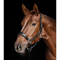 Waldhausen Leather Halter Line Anatomical