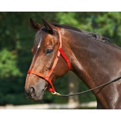 Busse Pasture Halter