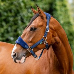 Horseware Signature Grooming Headcollar