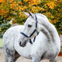 Horseware Grooming Headcollar