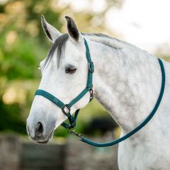 Horseware Headcollar & Lead Rope