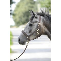 Bucas Dublin Halter Brown