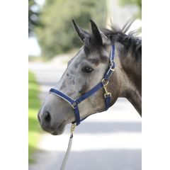 Bucas Dublin Halter Navy / Silver