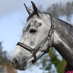 Bucas Dublin Halter Smoke Grey