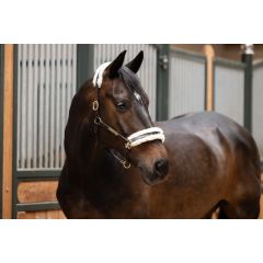 Eskadron Halter Fur Coats Elegance