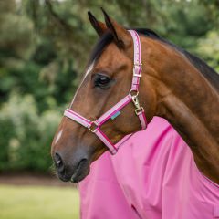 Bucas Dublin Halter