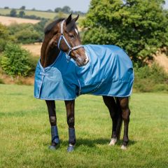 Bucas Freedom Turnout Blueberry