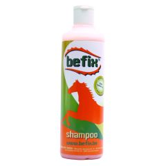 Befix Shampoo Conditioner 500ml