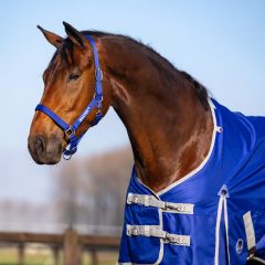 MASTER Halter Cobalt Blue