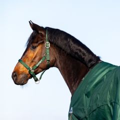 MASTER Halter Dark Green