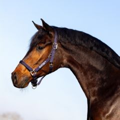 MASTER Halter Navy
