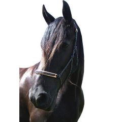F.R.A. Rope halter Pablo