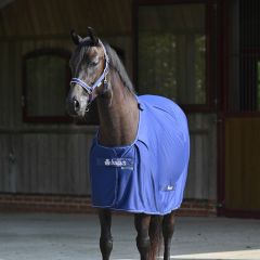 Bucas Power Cooler Poney