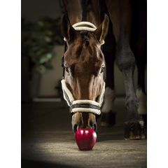 Equiline Tom Fleece Halter