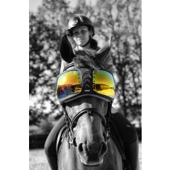 eQuick eVysor Lenses