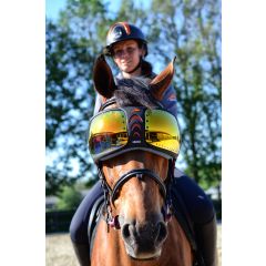 eQuick eVysor