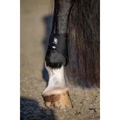 Horseguard FW25 Tary Streichkappen