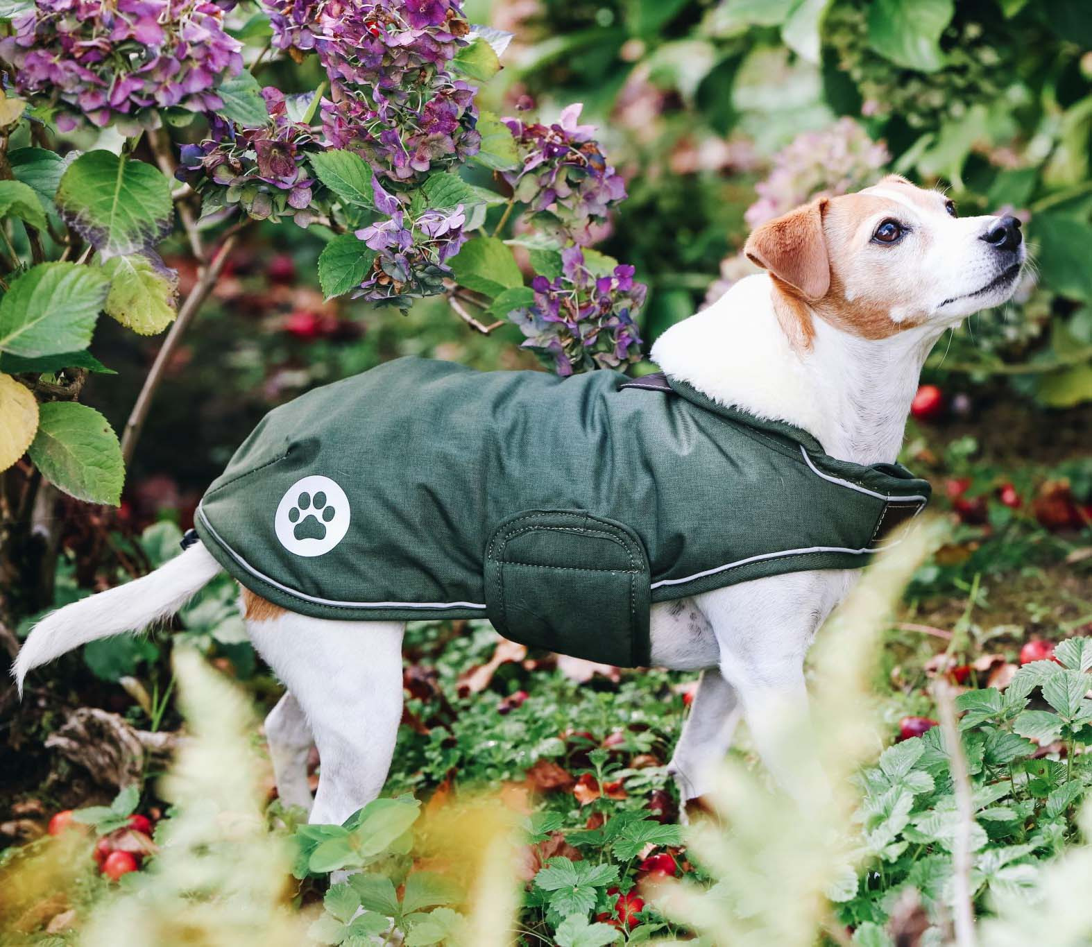 Kentucky Dog Coat Waterproof