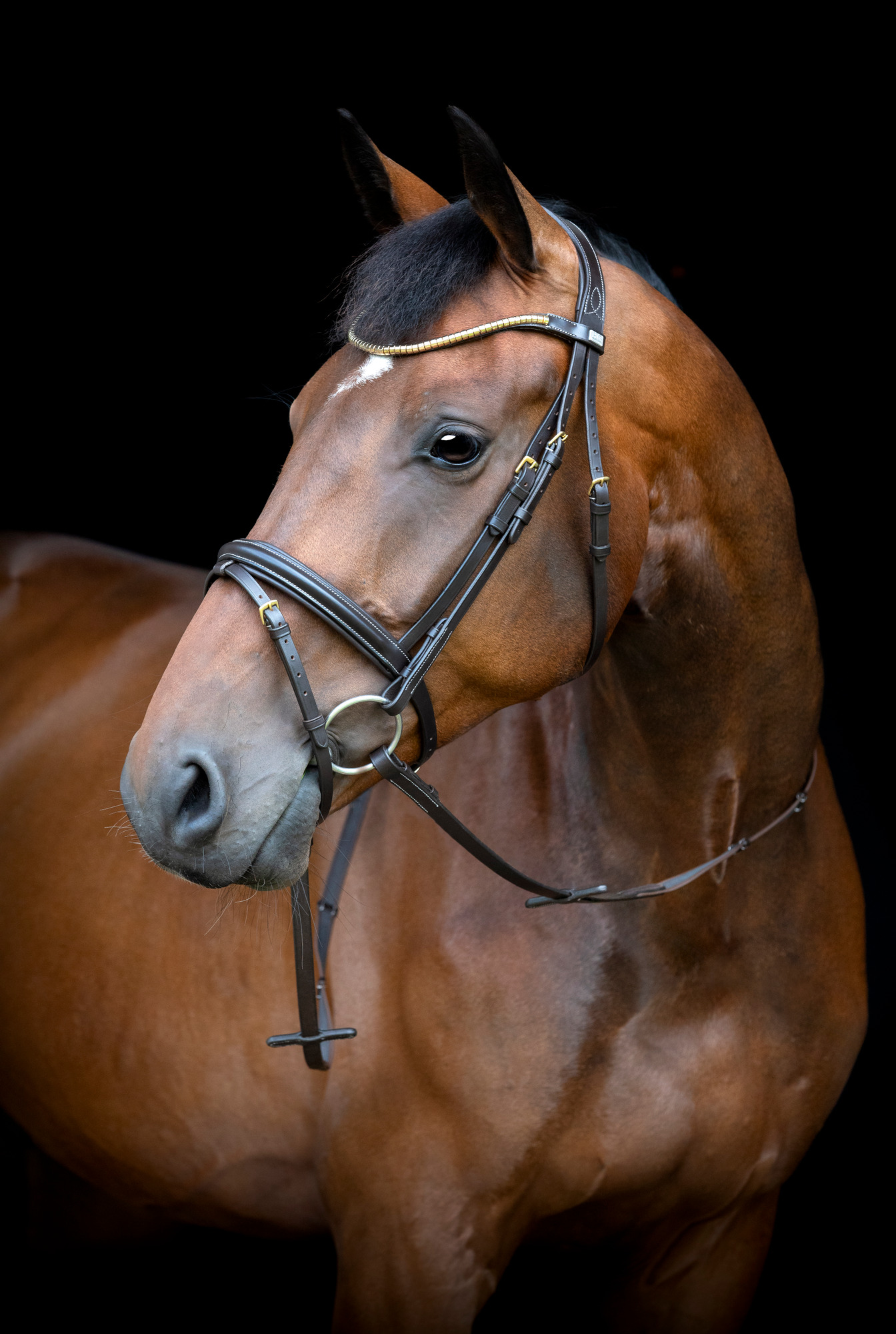 HorseGuard SS26 Emi 26.1 Trense mit kombiniertem Reithalfter