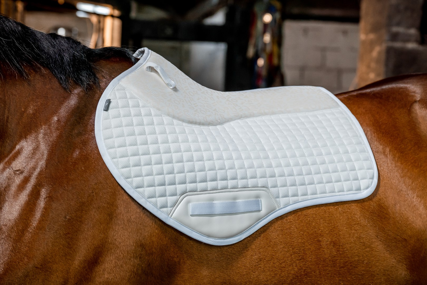 Horseware Tech Comfort Springschabracke