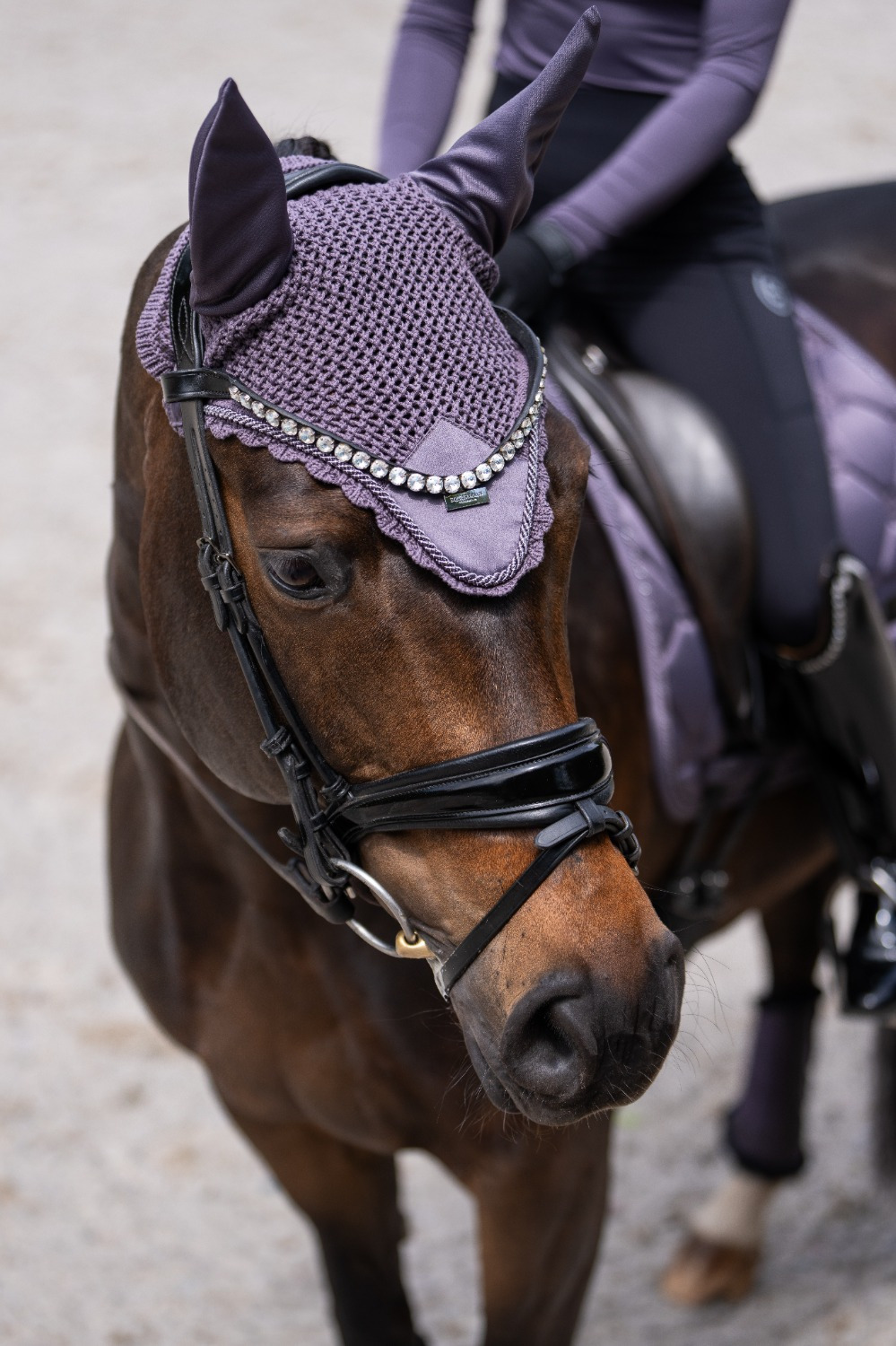 Equestrian Stockholm FW25 Dark Violet Ear Net