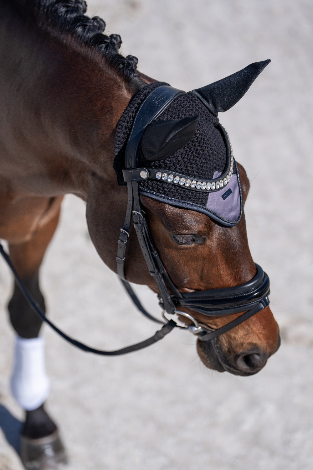 Equestrian Stockholm FW25 Dark Violet Modern Ear Net