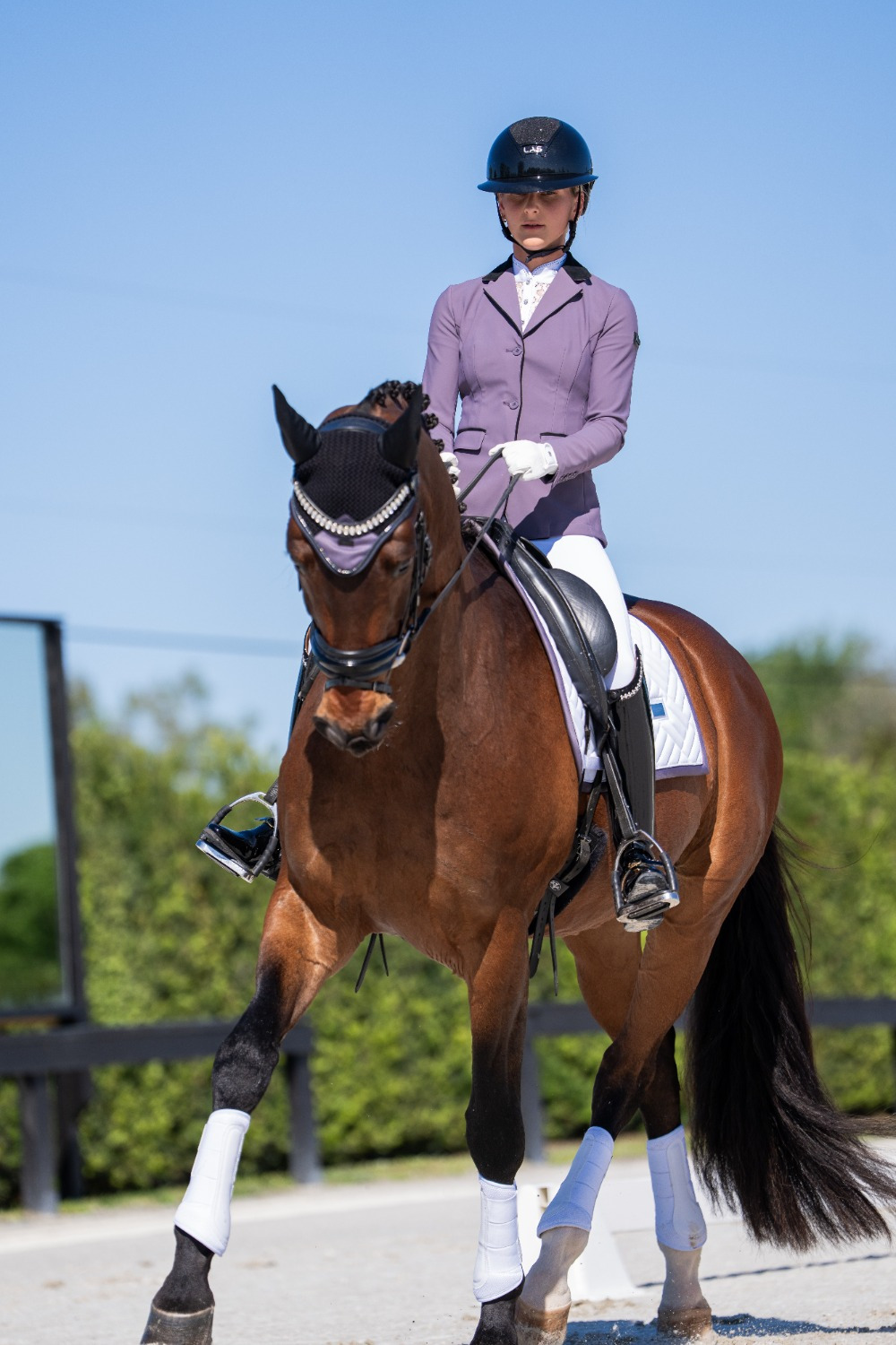 Equestrian Stockholm FW25 Dark Violet White Modern Dressage Saddle Pad