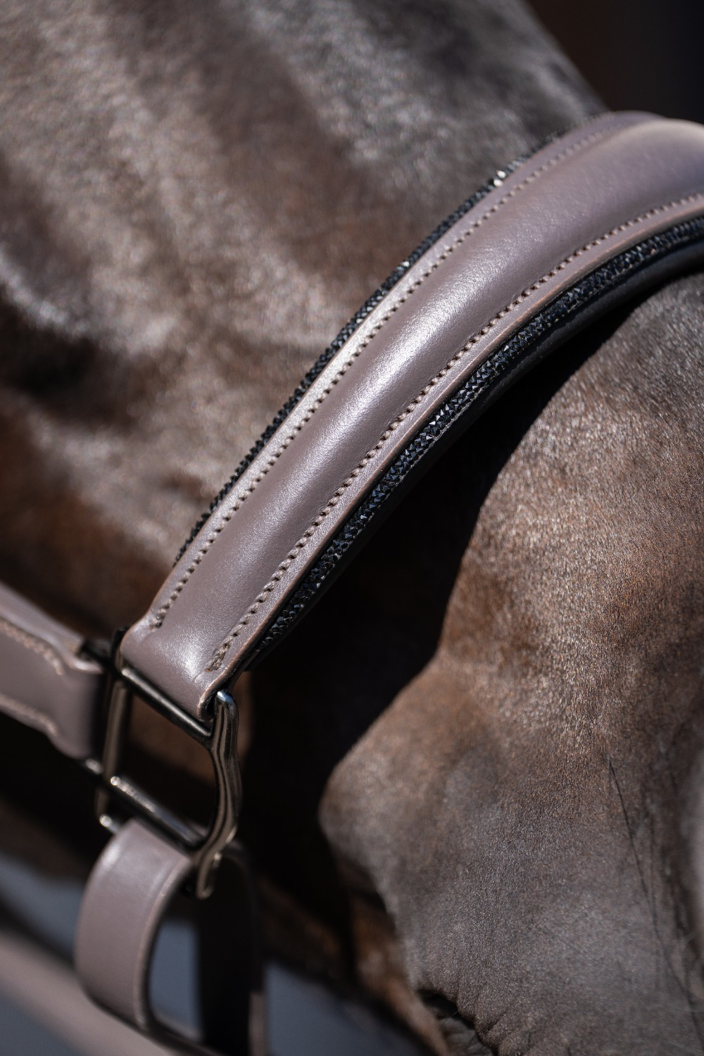Equestrian Stockholm Dark Violet Glimmer Halter