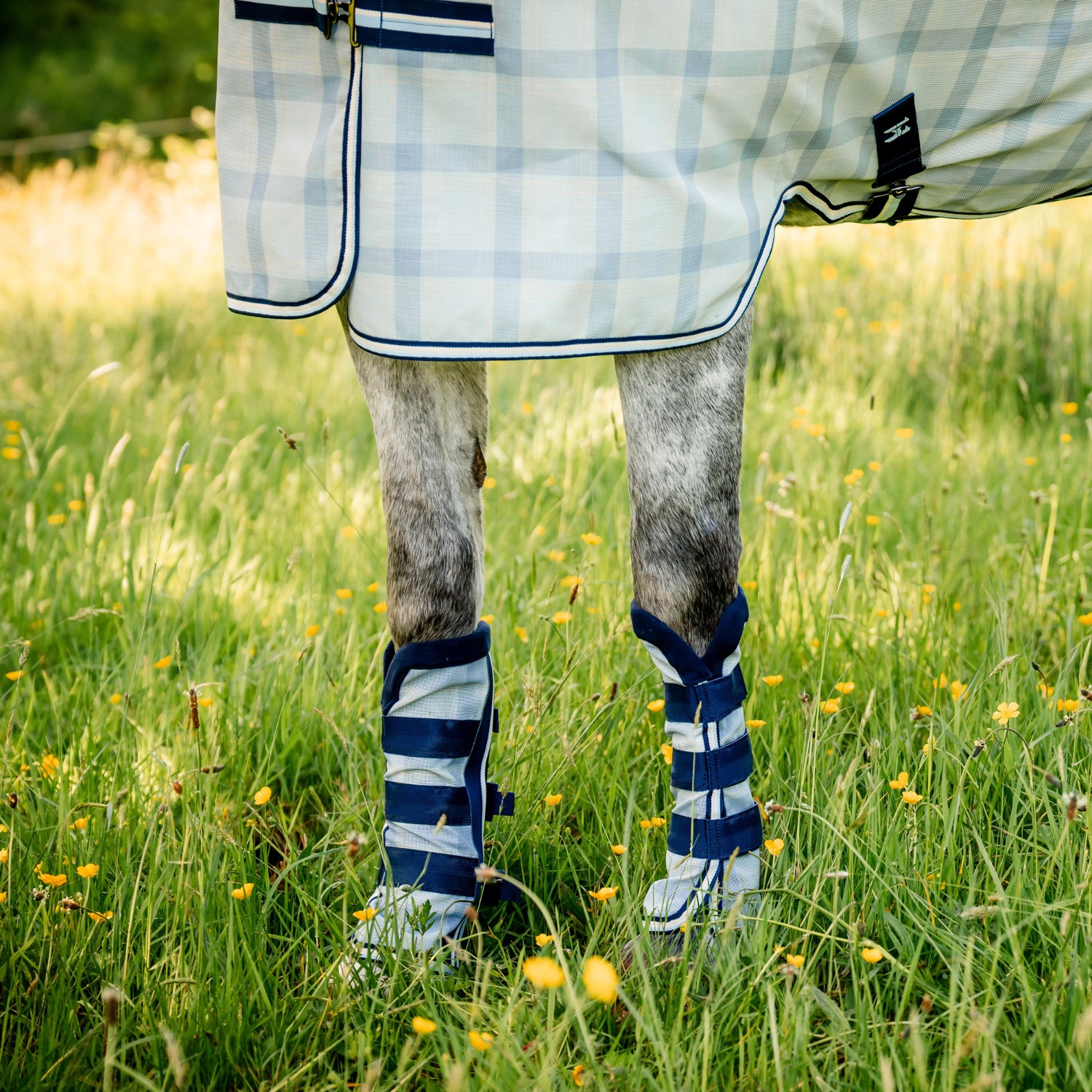 Horseware Newmarket Fliegenstiefel