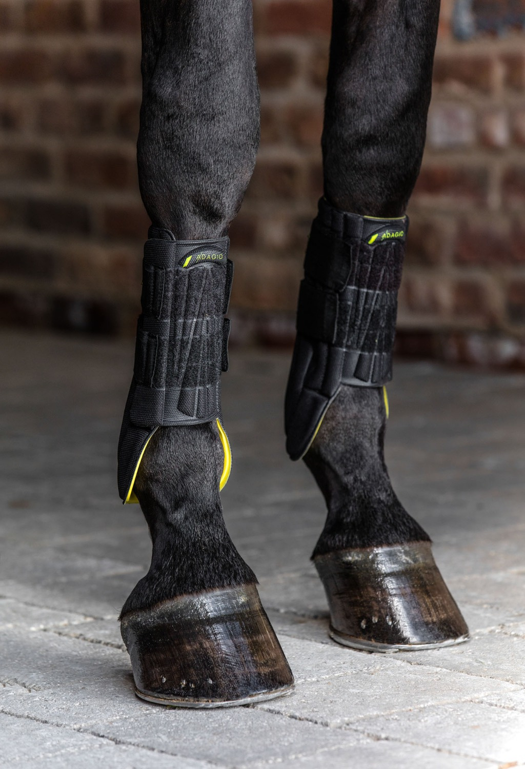 Horseware Adagio Schutzgamasche