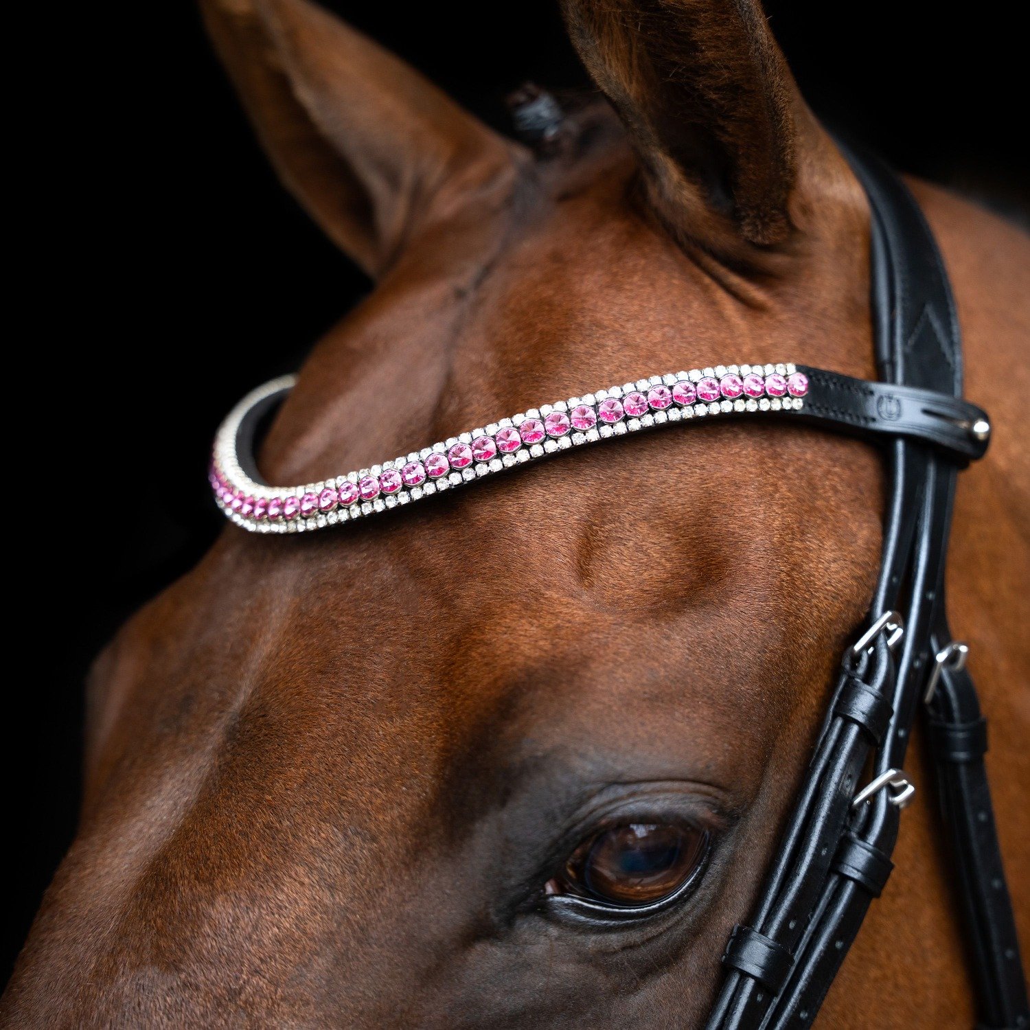 Imperial Riding SS26 Browband IRHBeads