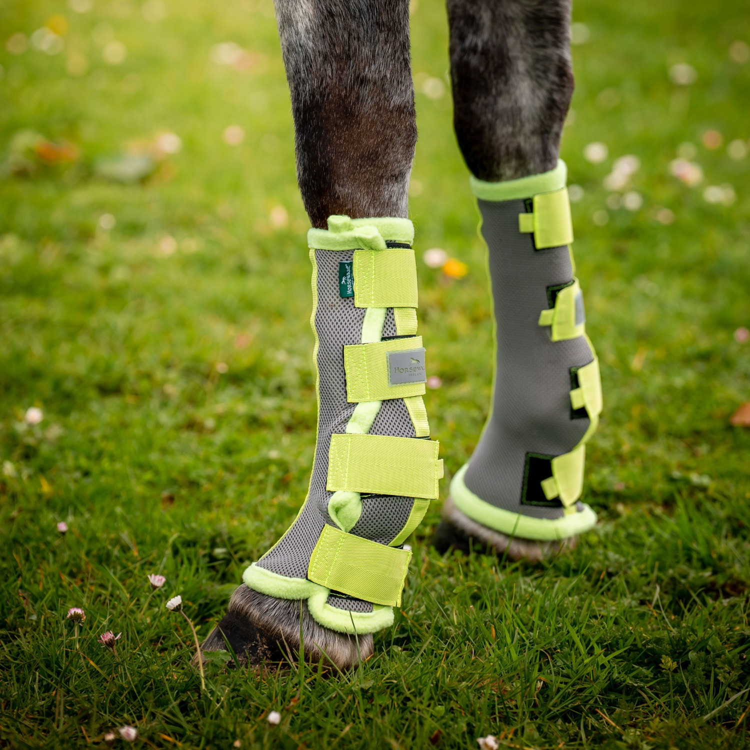 Horseware Fliegengamasche