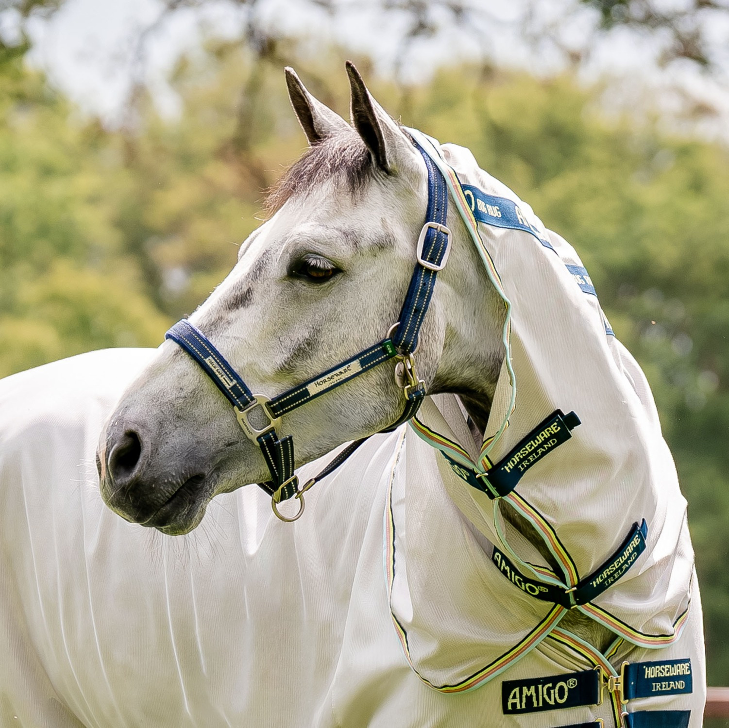 Horseware Field Safe Halster