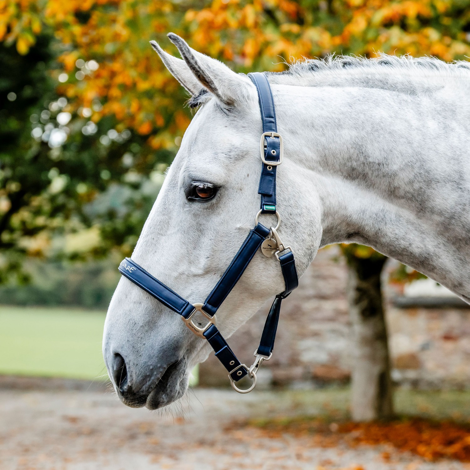Horseware Putzhalfter