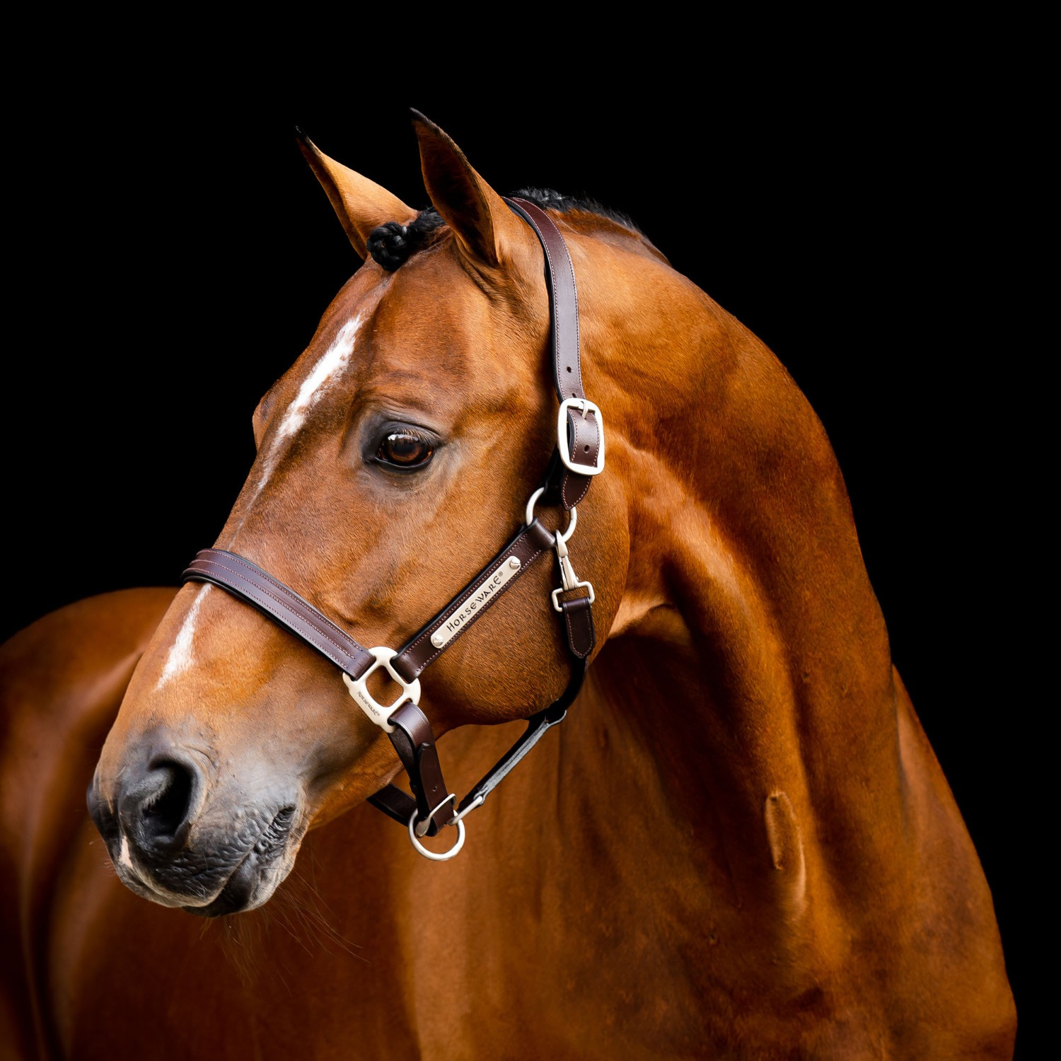 Horseware Signature Lederhalfter