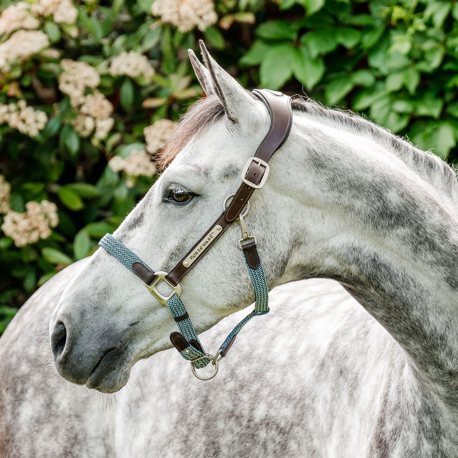 Horseware Signature Geflochtenes Halfter