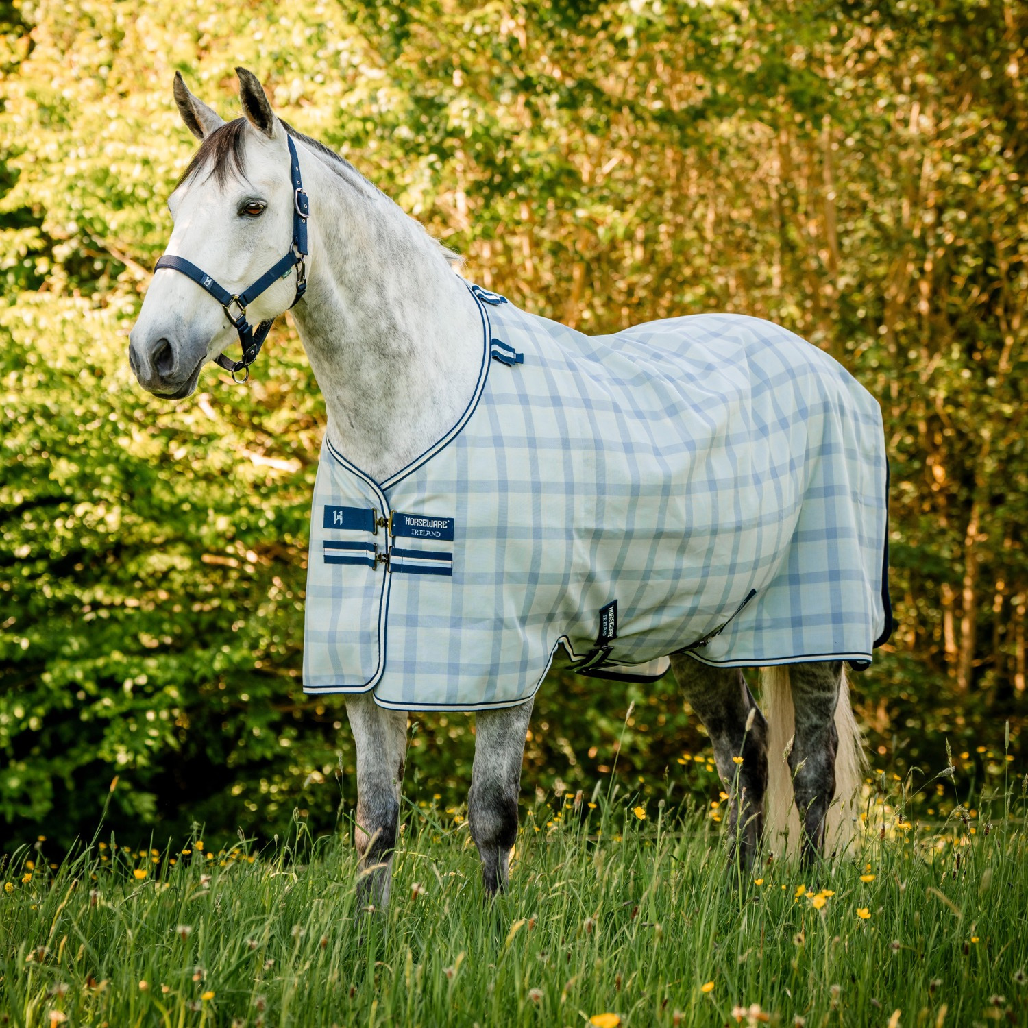 Horseware Newmarket Fliegendecke