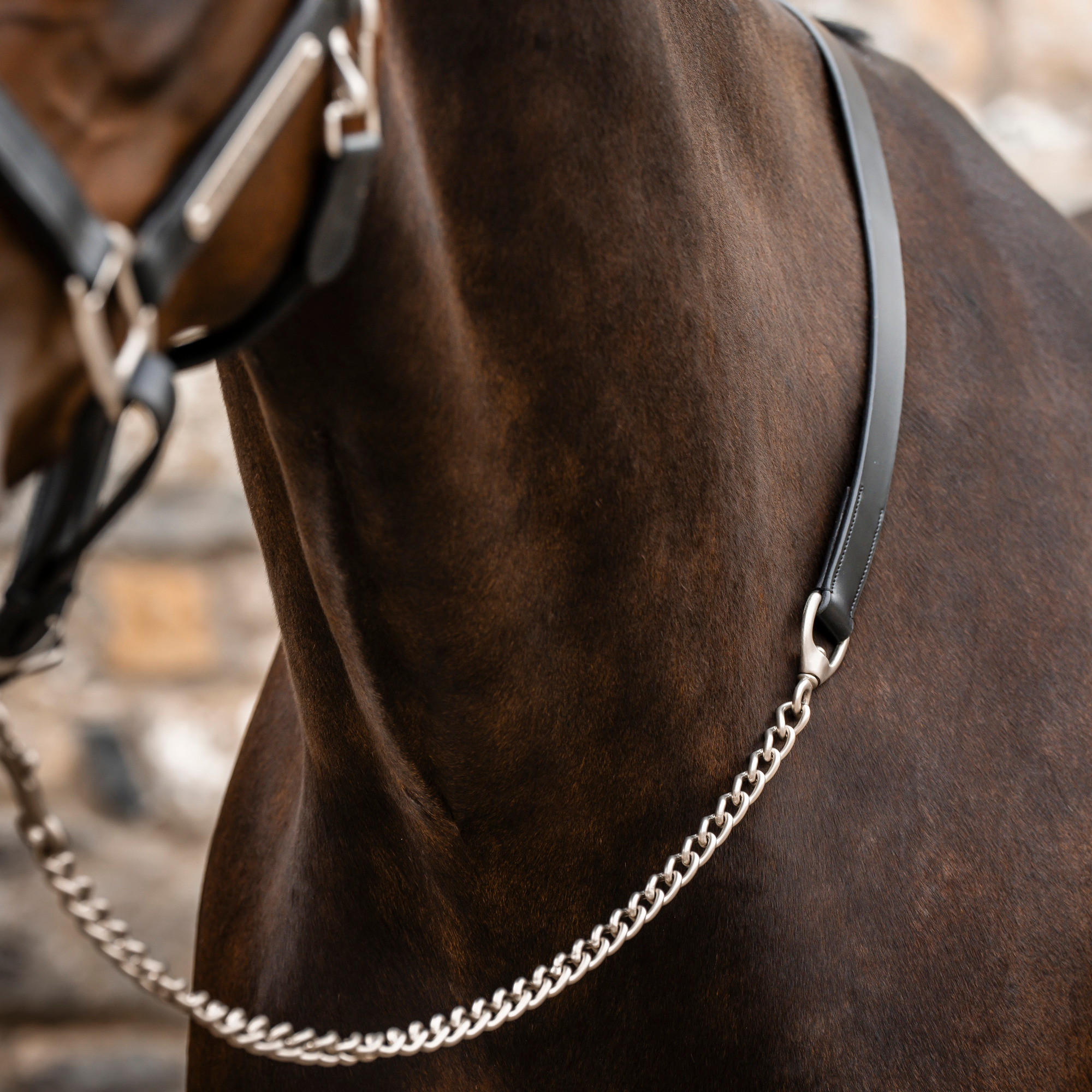 Horseware Signature Hengstkette