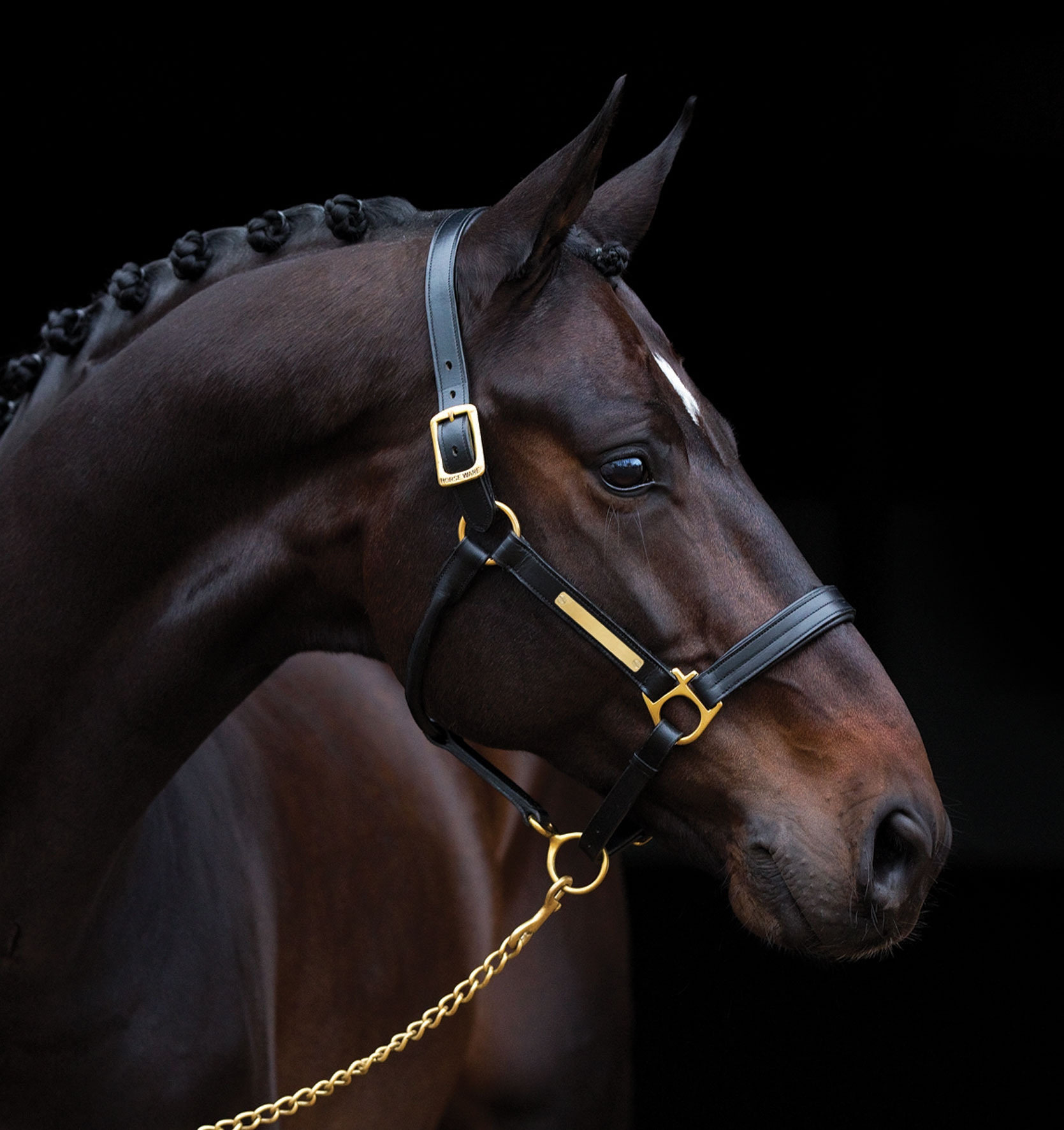 Amigo Leather Halter
