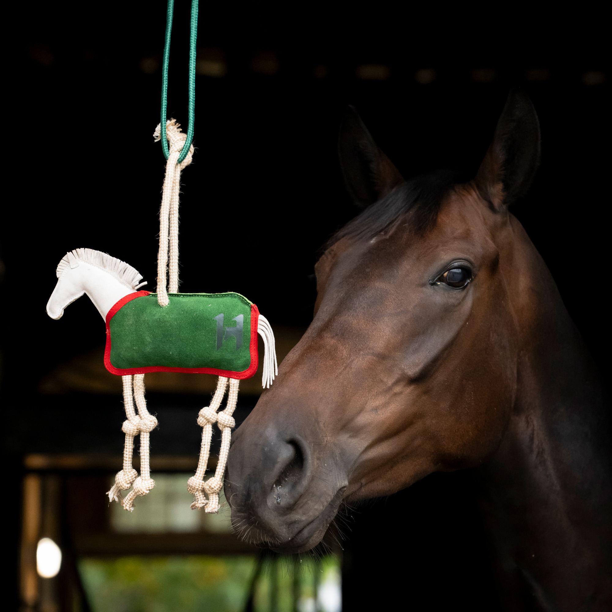 Horseware Paardenspeelgoed