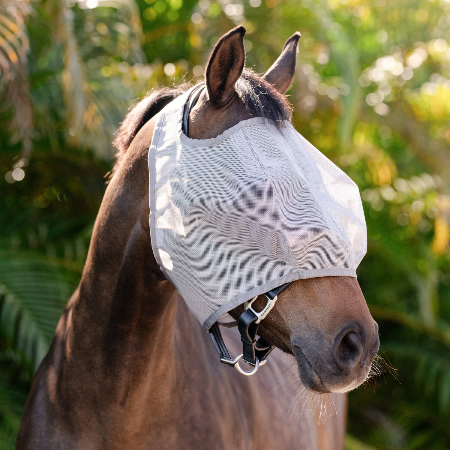 Amigo Vliegenmasker Zonder Oren