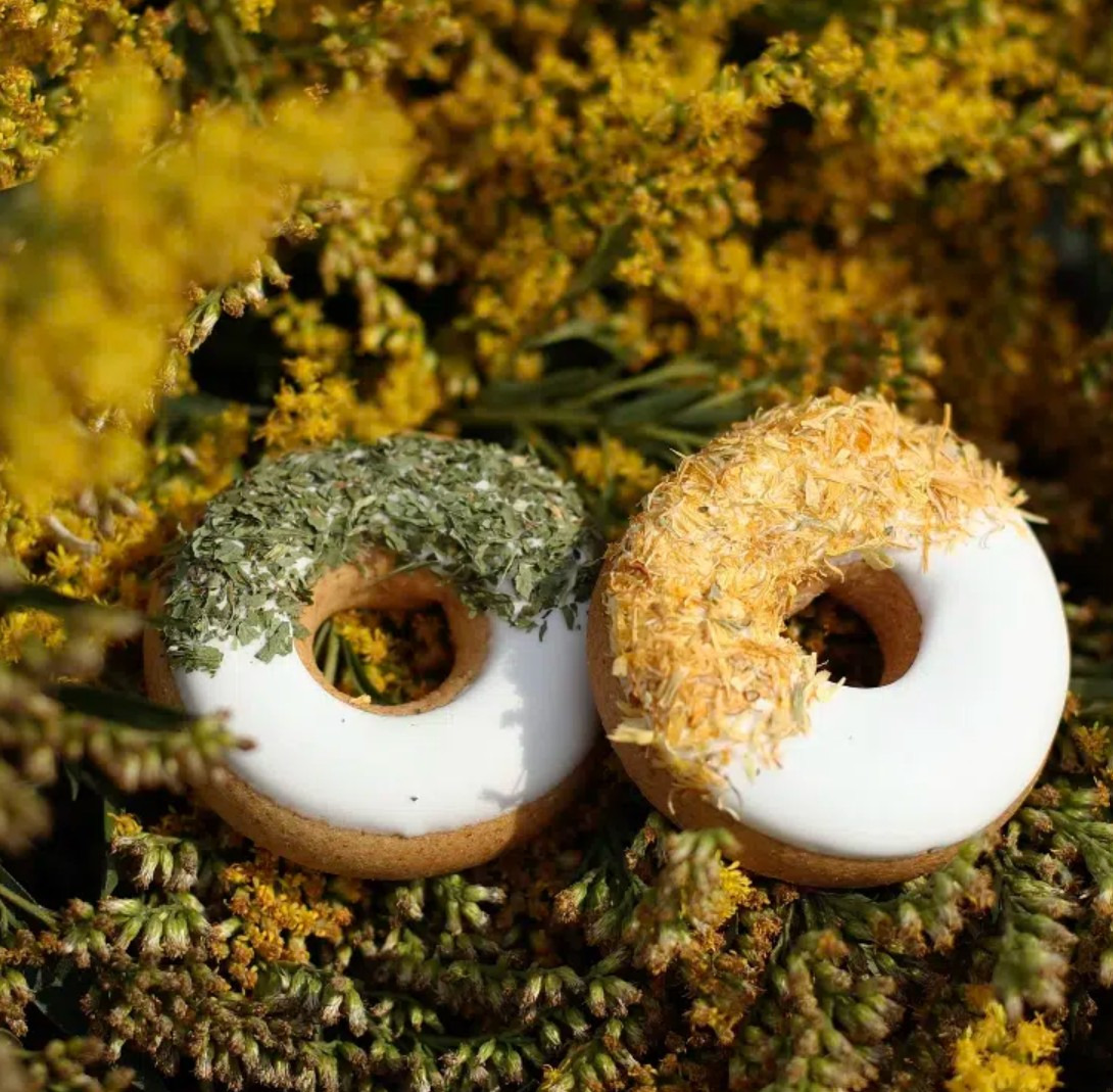 Candy Horse Donuts Calendula Parsley